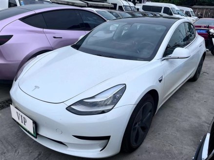 Model 3(进口) 2019款 标准续航后驱升级版