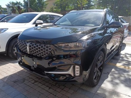 魏牌 VV6 2021款 2.0T 两驱智行+