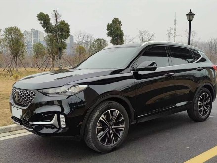 魏牌 VV6 2021款 2.0T 两驱智护+