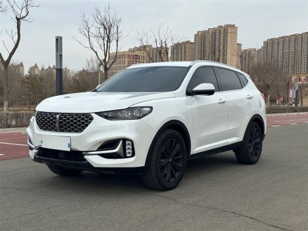 魏牌 VV6 2021款 2.0T 两驱智享+