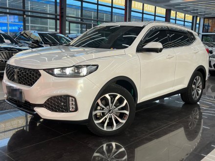 魏牌 VV6 2020款 2.0T 两驱智护+