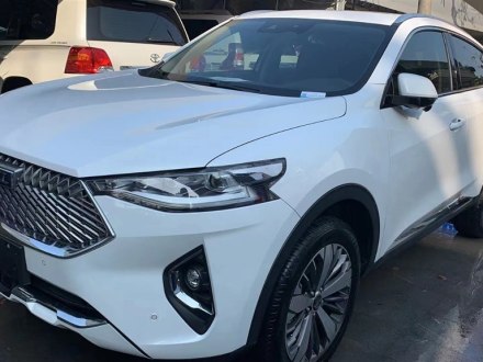 哈弗F7x 2019款 1.5T 两驱极智潮玩版