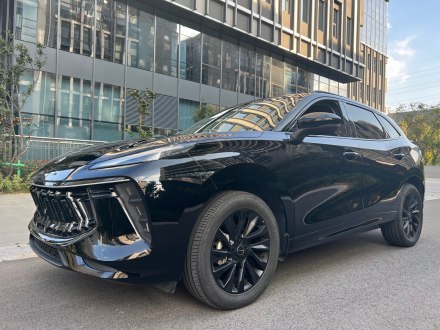 风行T5 EVO 2021款 1.5TD DCT荣耀版