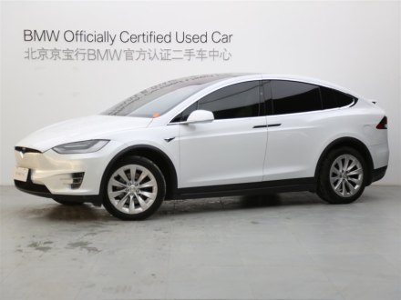 Model X 2021款 双电机全轮驱动版