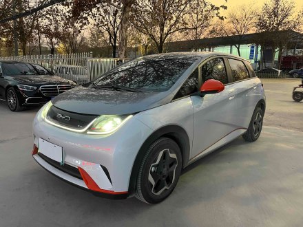 海豚 2021款 405km 自由版