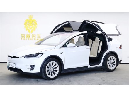 Model X 2020款 长续航升级版