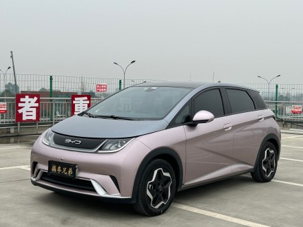 海豚 2021款 405km 时尚版