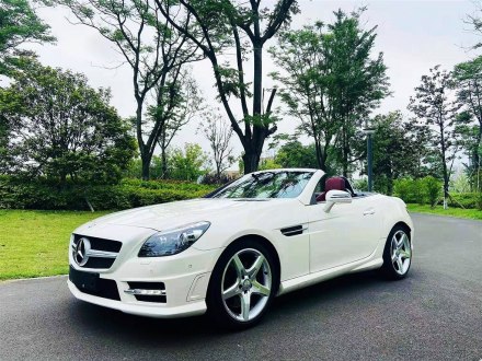 奔驰SLK级 2011款 SLK 200 时尚型