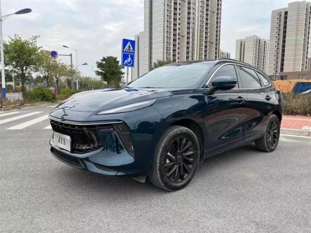 风行T5 EVO 2021款 1.5TD DCT钻石版