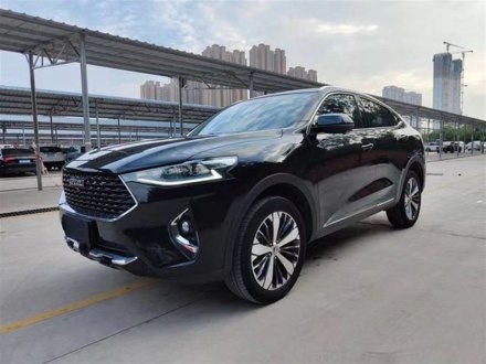 哈弗F7x 2019款 1.5T 两驱极智潮玩版