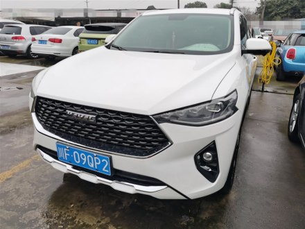 哈弗F7x 2019款 1.5T 两驱极智潮玩版