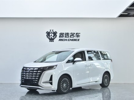 腾势D9 2022款 DM-i 1040 尊贵型