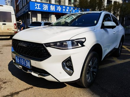 哈弗F7x 2019款 1.5T 两驱极智潮玩版
