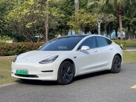 Model 3进口 2019款 标准续航后驱升级版