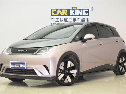 海豚 2021款 401km 骑士版