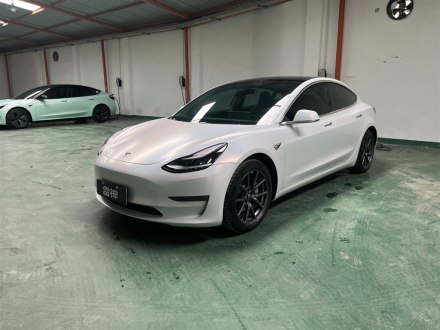 Model 3进口 2019款 长续航全轮驱动版