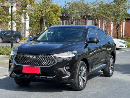 哈弗F7x 2019款 1.5T 两驱极智潮玩版