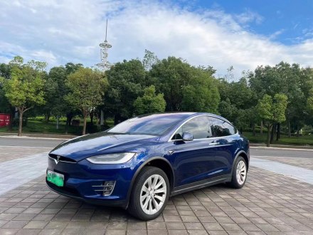 Model X 2017款 Model X 100D 长续航版