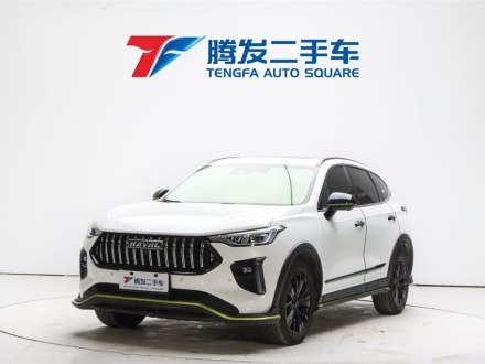 哈弗赤兔 2021款 激擎版 1.5T 铂金兔