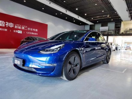 Model 3进口 2019款 长续航全轮驱动版