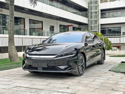 汉 2020款 EV 超长续航版尊贵型
