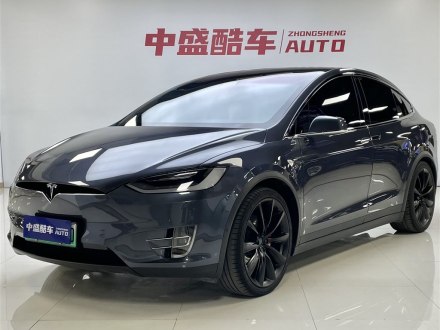 Model X 2020款 Performance 高性能版
