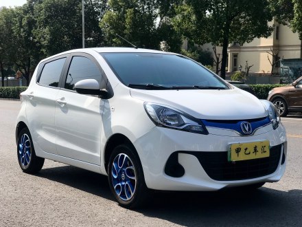 奔奔EV 2019款 EV360 标准型