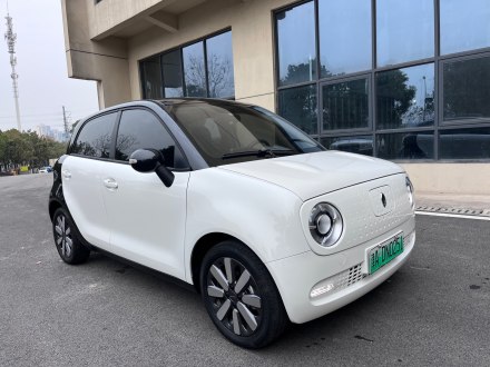欧拉黑猫 2021款 351km 豪华型