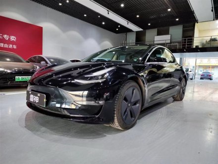 Model 3进口 2019款 长续航全轮驱动版