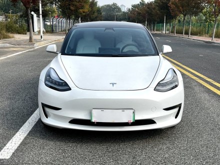 Model 3进口 2019款 长续航全轮驱动版