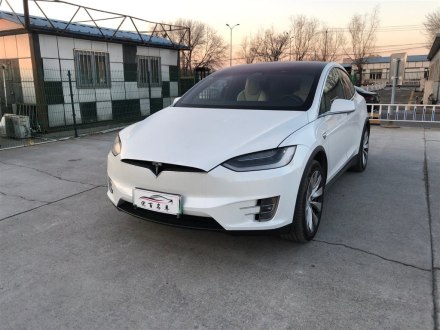Model X 2019款 长续航版