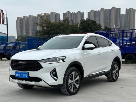 哈弗F7x 2019款 2.0T 两驱极智潮玩版