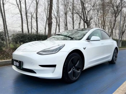 Model 3进口 2019款 长续航后驱版