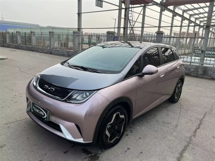 海豚 2021款 405km 时尚版