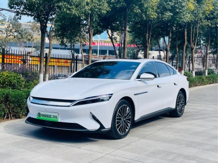 汉 2021款 EV 标准续航版豪华型