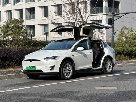 Model X 2017款 Model X 100D 长续航版