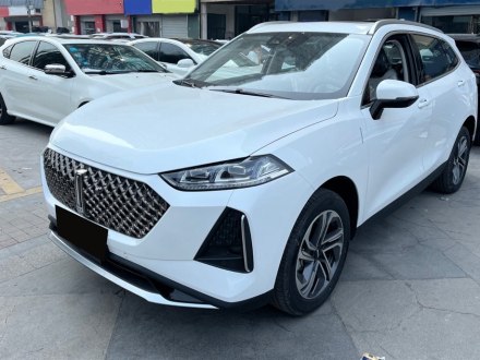 玛奇朵DHT 2021款 1.5L DHT大师版