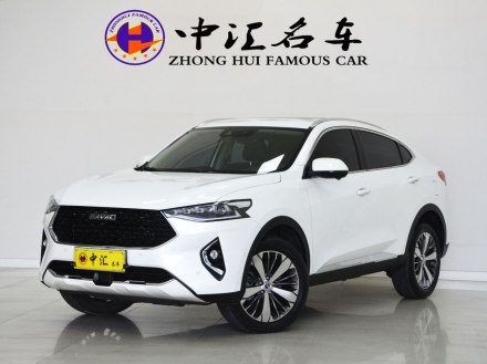 哈弗F7x 2019款 1.5T 两驱极智科技版