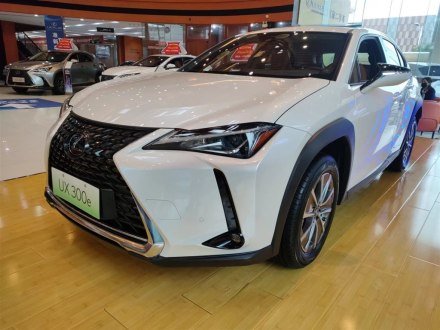 雷克萨斯UX新能源 2020款 300e 纯·享版