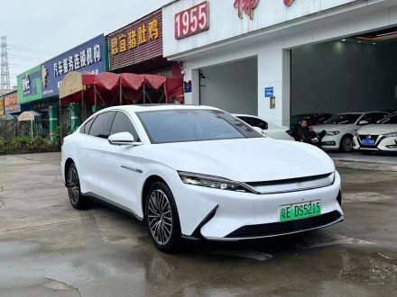 汉 2021款 EV 标准续航版豪华型