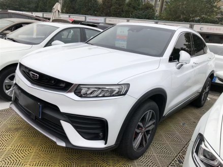 星越 2019款 300T 耀星者