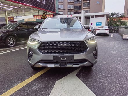 哈弗F7x 2019款 1.5T 两驱极智科技版