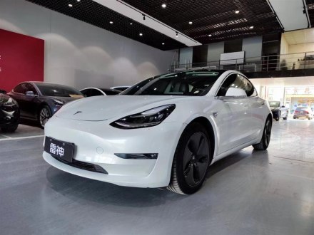 Model 3进口 2019款 长续航全轮驱动版