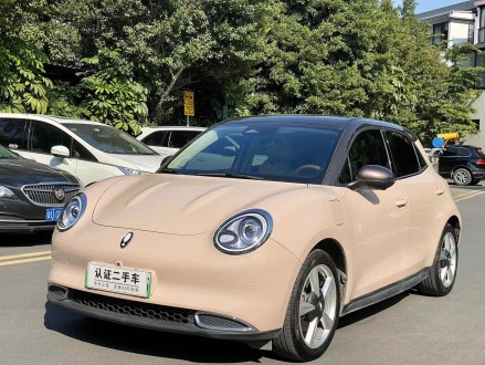 欧拉好猫 2021款 400km标准续航 维纳斯版 磷酸铁锂