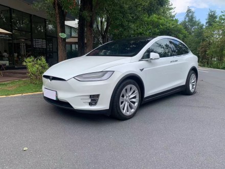 Model X 2017款 Model X 100D 长续航版