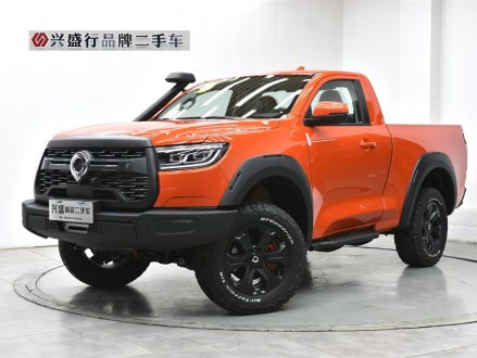 炮 2021款 2.0T火炮版GW4C20B