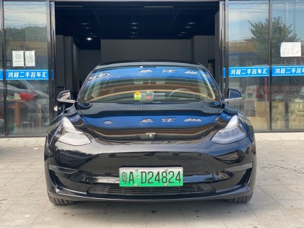 Model 3进口 2019款 长续航后驱版
