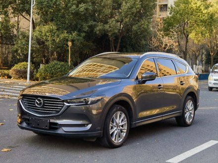 马自达CX-8 2019款 2.5L 两驱尊贵型