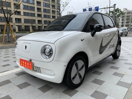 欧拉黑猫 2021款 301km 基础型