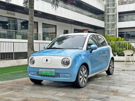 欧拉黑猫 2021款 351km 豪华型